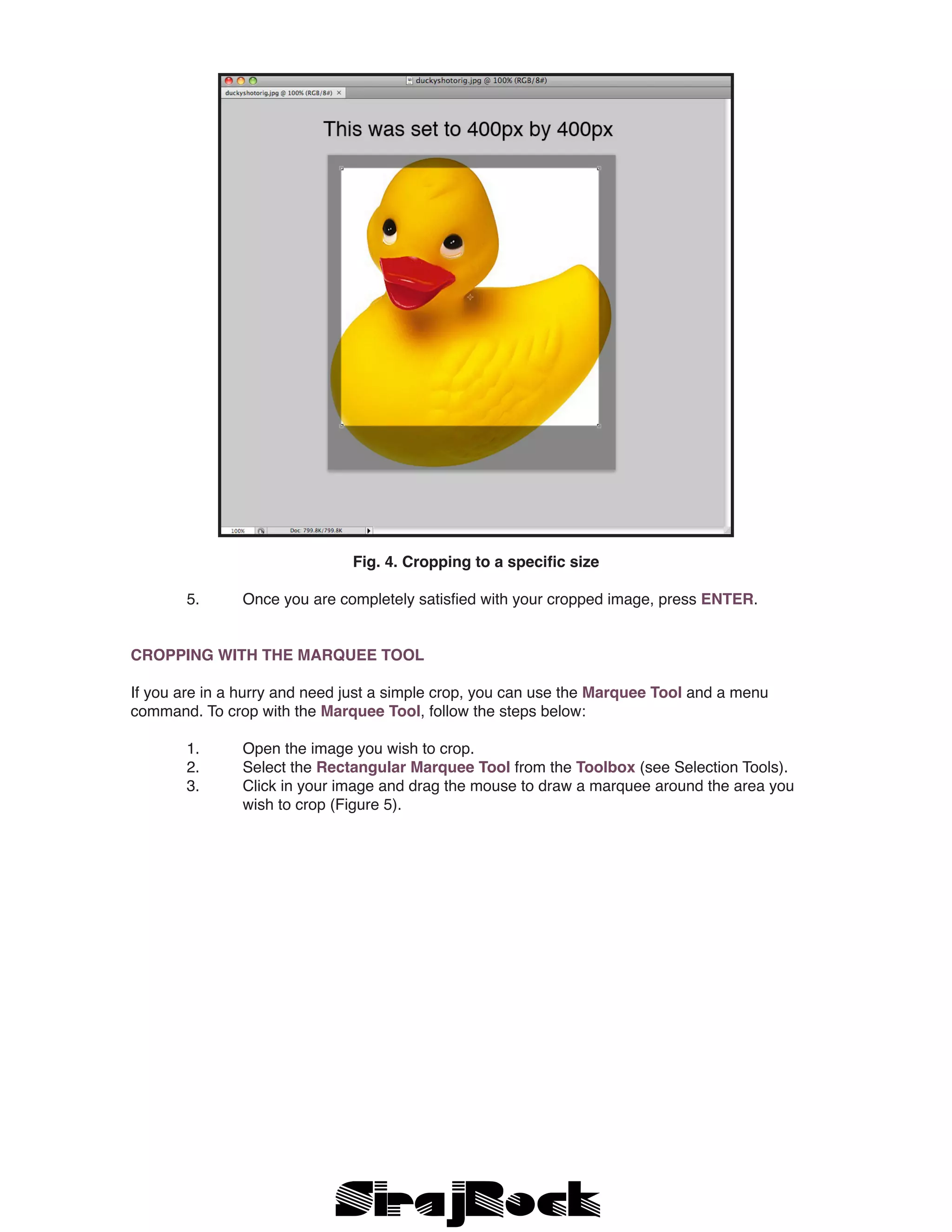 Fig. 4. Cropping to a specific size
	 5. 	 Once you are completely satisfied with your cropped image, press ENTER.
CROPPING WITH THE MARQUEE TOOL
If you are in a hurry and need just a simple crop, you can use the Marquee Tool and a menu
command. To crop with the Marquee Tool, follow the steps below:
	 1.	 Open the image you wish to crop.
	 2.	 Select the Rectangular Marquee Tool from the Toolbox (see Selection Tools).
	 3.	 Click in your image and drag the mouse to draw a marquee around the area you 		
		 wish to crop (Figure 5).
 