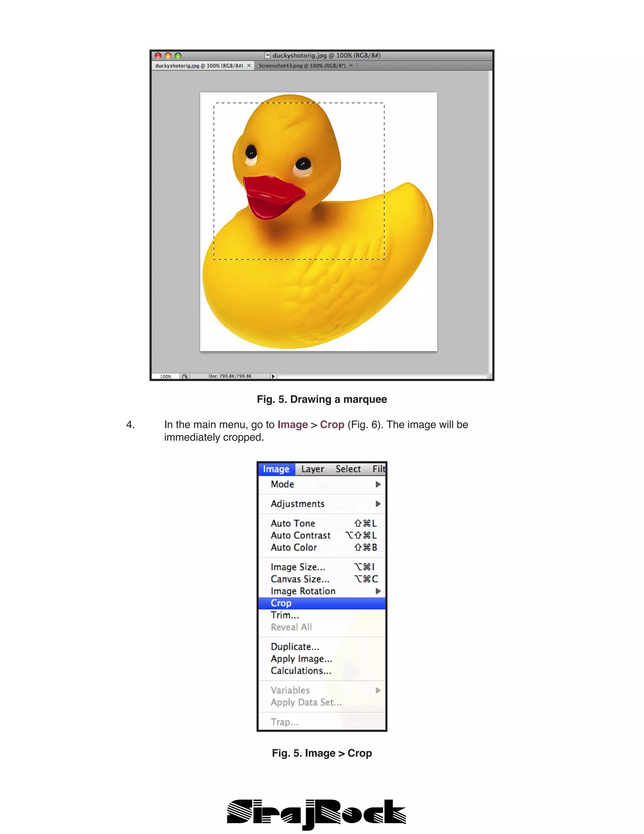 Fig. 5. Drawing a marquee
	 4. 	 In the main menu, go to Image > Crop (Fig. 6). The image will be 	
		 immediately cropped.
Fig. 5. Image > Crop
 