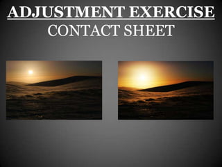 ADJUSTMENT EXERCISE
    CONTACT SHEET
 
