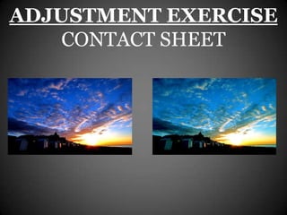 ADJUSTMENT EXERCISE
    CONTACT SHEET
 