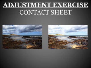 ADJUSTMENT EXERCISE
    CONTACT SHEET
 
