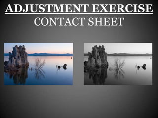 ADJUSTMENT EXERCISE
    CONTACT SHEET
 