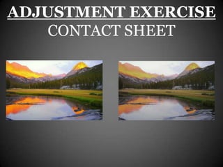 ADJUSTMENT EXERCISE
    CONTACT SHEET
 