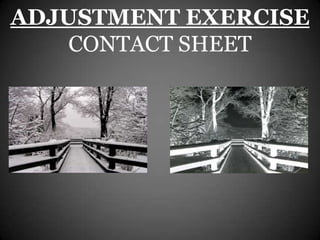 ADJUSTMENT EXERCISE
    CONTACT SHEET
 