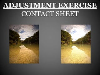 ADJUSTMENT EXERCISE
    CONTACT SHEET
 
