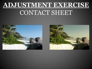 ADJUSTMENT EXERCISE
    CONTACT SHEET
 