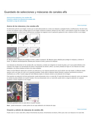 Guardado de selecciones y máscaras de canales alfa 
Volver al principio 
Volver al principio 
Acerca de las máscaras y los canales alfa 
Creación y edición de máscaras de canales alfa 
Guardado y carga de selecciones 
Acerca de las máscaras y los canales alfa 
Al seleccionar parte de una imagen, el área que no está seleccionada es un área con máscara o protegida frente a modificaciones. De este modo, 
al crear una máscara, aísla y protege áreas de una imagen conforme se aplican cambios de color, filtros u otros efectos al resto de la imagen. Las 
máscaras también se utilizan para modificaciones complejas de imágenes como la aplicación gradual de color o efectos de filtro a una imagen. 
Ejemplos de máscaras 
A. Máscara opaca utilizada para proteger el fondo y editar la mariposa B. Máscara opaca utilizada para proteger la mariposa y colorear el 
fondo C. Máscara semitransparente utilizada para colorear el fondo y parte de la mariposa 
Las máscaras se almacenan en los canales alfa. Las máscaras y canales son imágenes en escala de grises, por lo que puede editarlas como 
cualquier otra imagen con herramientas de pintura, herramientas de edición y filtros. Las áreas pintadas de negro en una máscara son áreas 
protegidas y las áreas pintadas de blanco son áreas editables. 
Utilice el modo Máscara rápida para convertir una selección en una máscara temporal para que la edición sea más rápida. La Máscara rápida 
aparece como una capa con color con la opacidad ajustable. Puede editar la Máscara rápida utilizando cualquier herramienta de pintura o 
modificarla con un filtro. Cuando salga del modo Máscara rápida, la máscara volverá a una selección de la imagen. 
Para guardar una selección de forma permanente, puede almacenarla como un canal alfa. El canal alfa almacena la selección como una máscara 
en escala de grises editable en el panel Canales. Una vez almacenada como un canal alfa, puede volver a cargar la selección en cualquier 
momento o incluso cargarla en otra imagen. 
Selección guardada como un canal alfa en el panel Canales 
Nota: puede enmascarar u ocultar partes de una capa utilizando una máscara de capa. 
Creación y edición de máscaras de canales alfa 
Puede crear un nuevo canal alfa y utilizar herramientas de pintura, herramientas de edición y filtros para crear una máscara en el canal alfa. 
 