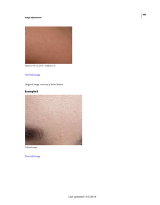 495
Image adjustments
Last updated 11/5/2019
Healed in PS CC 2015.1 (Diffusion 5)
View full image
Original image courtsey of Steve Brown
Example 8
Original image
View full image
 