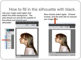 How to fill in the silhouette with black.
Use your magic wand again and
                                        Now choose select again. Choose
select the white background. The
                                        inverse, and the ants will run around
ants should run around the outside of
                                        you image only.
the picture and around your
silhouette!
 
