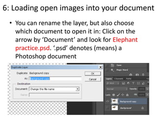 6: Loading open images into your document
• You can rename the layer, but also choose
which document to open it in: Click on the
arrow by ‘Document’ and look for Elephant
practice.psd. ‘.psd’ denotes (means) a
Photoshop document
 