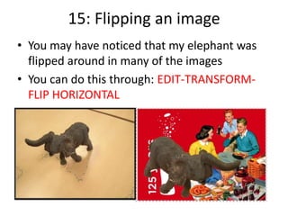 15: Flipping an image
• You may have noticed that my elephant was
flipped around in many of the images
• You can do this through: EDIT-TRANSFORM-
FLIP HORIZONTAL
 