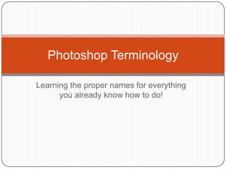 Learning the proper names for everything you already know how to do! Photoshop Terminology 
