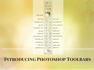 Introducing Photoshop Toolbars
 
