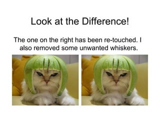 Look at the Difference!
The one on the right has been re-touched. I
also removed some unwanted whiskers.
 