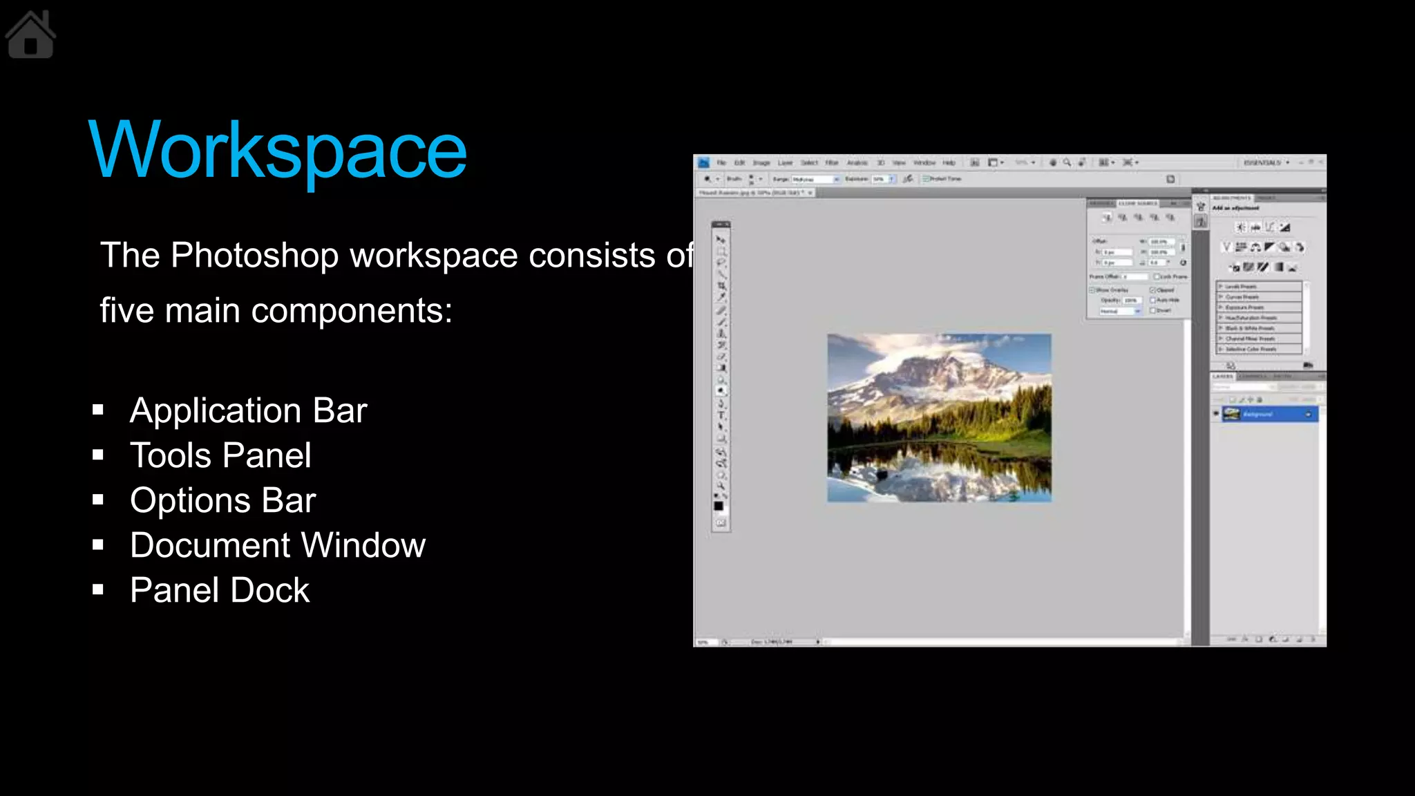 Workspace
The Photoshop workspace consists of
five main components:
 Application Bar
 Tools Panel
 Options Bar
 Document Window
 Panel Dock
 