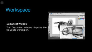 Basic Photoshop Tutorial | PPTX