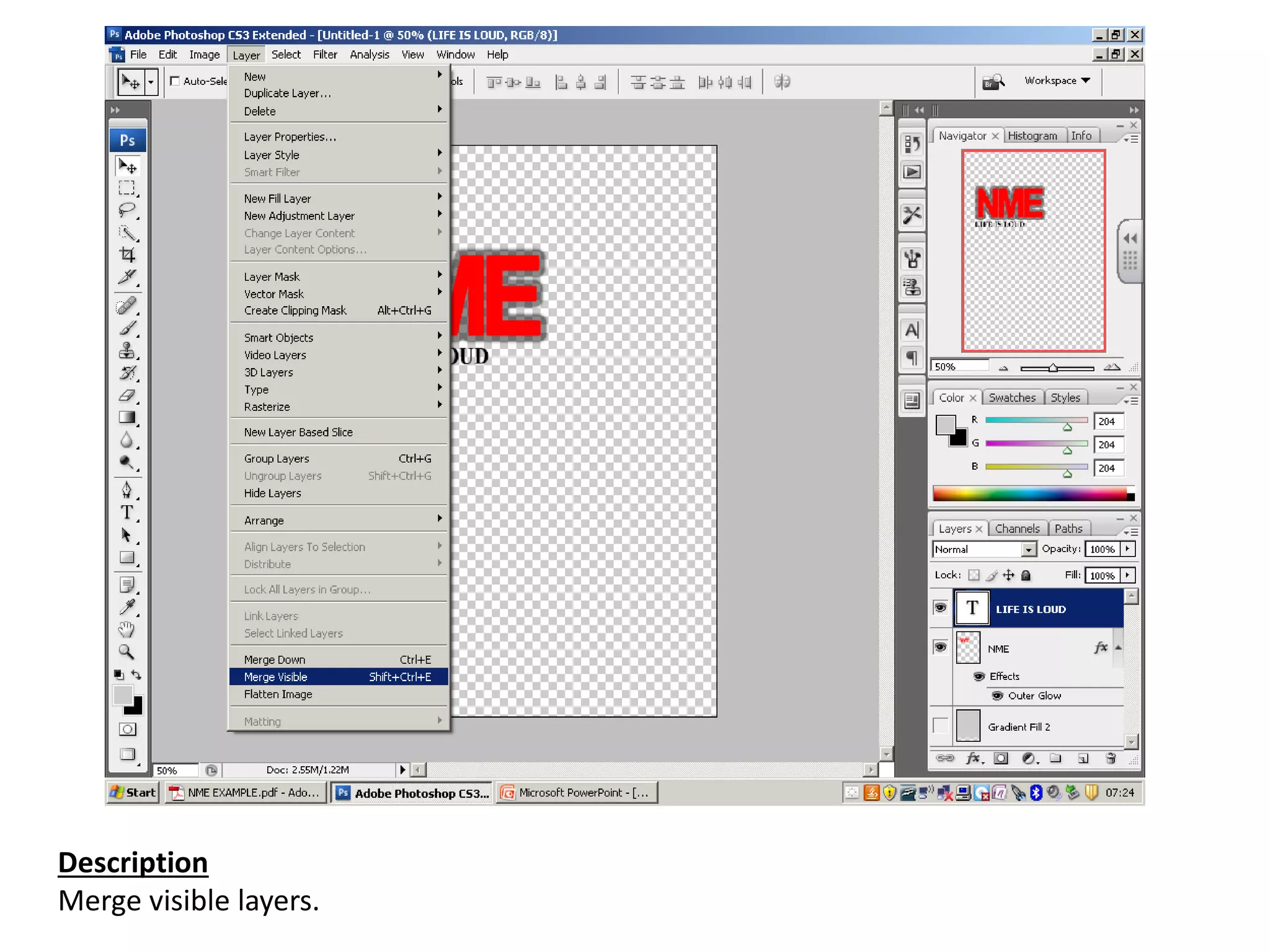 Description
Merge visible layers.
 
