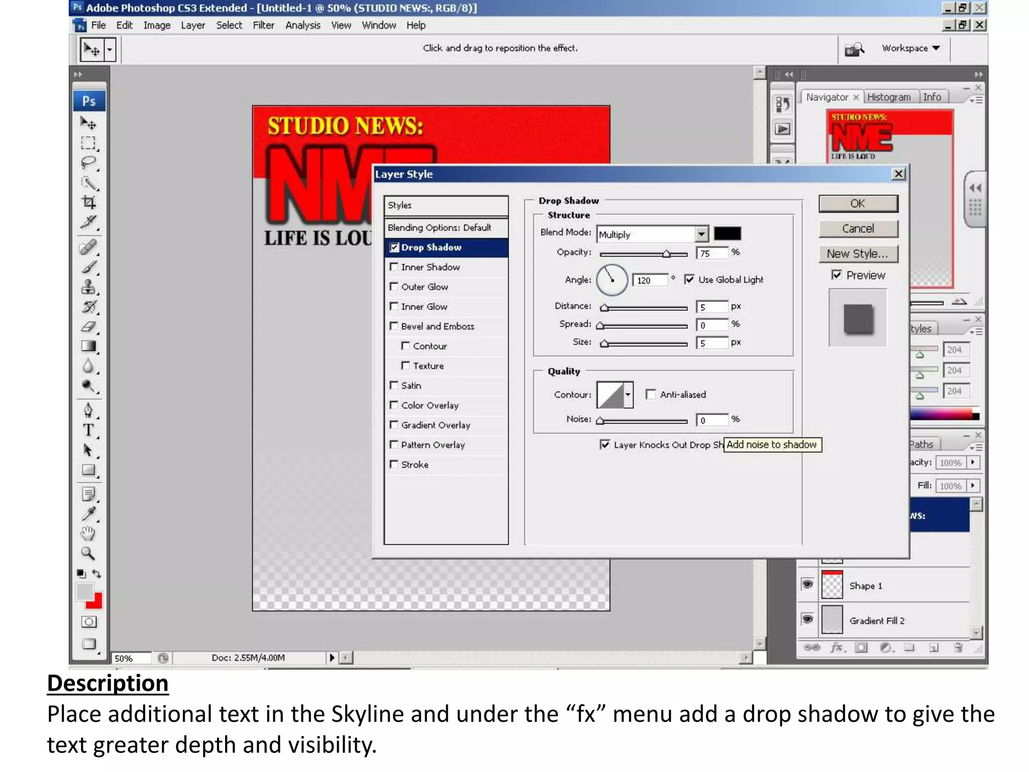 Description
Place additional text in the Skyline and under the “fx” menu add a drop shadow to give the
text greater depth and visibility.
 