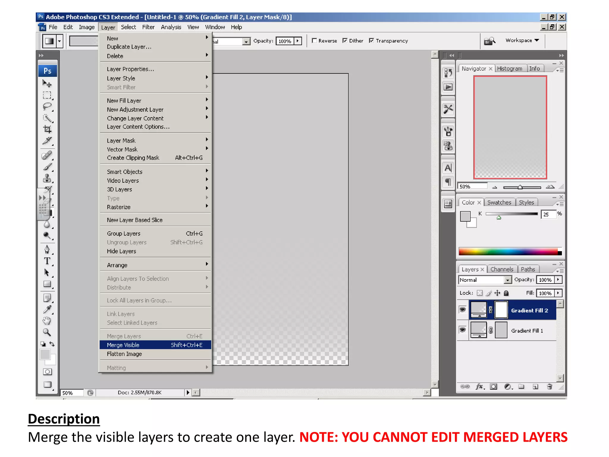 Description
Merge the visible layers to create one layer. NOTE: YOU CANNOT EDIT MERGED LAYERS
 