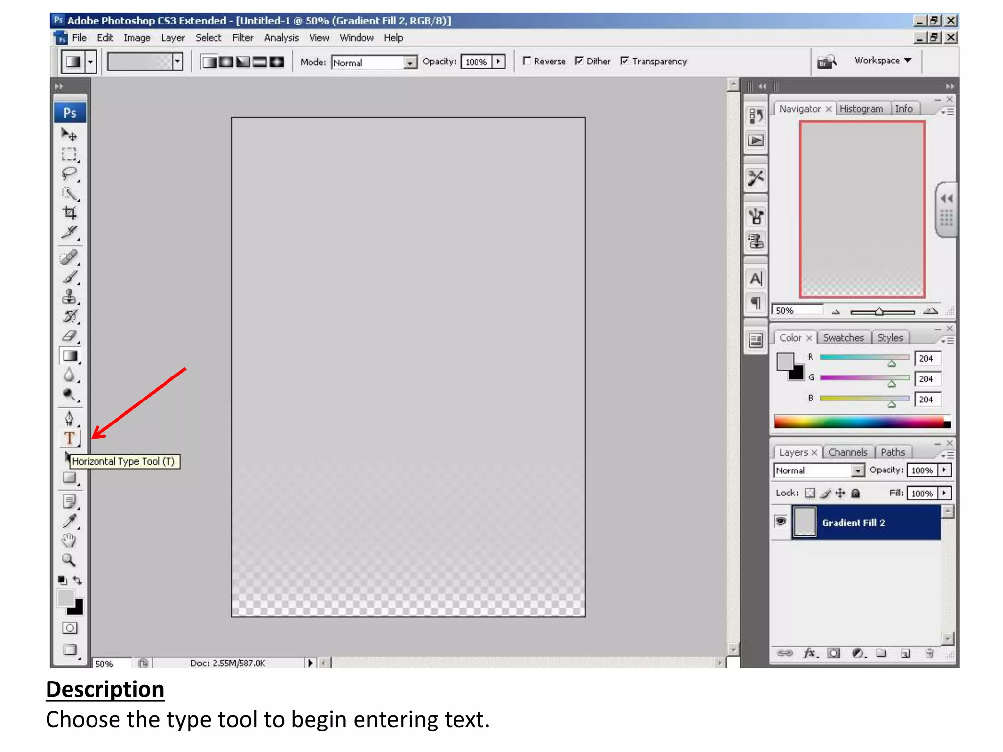 Description
Choose the type tool to begin entering text.
 