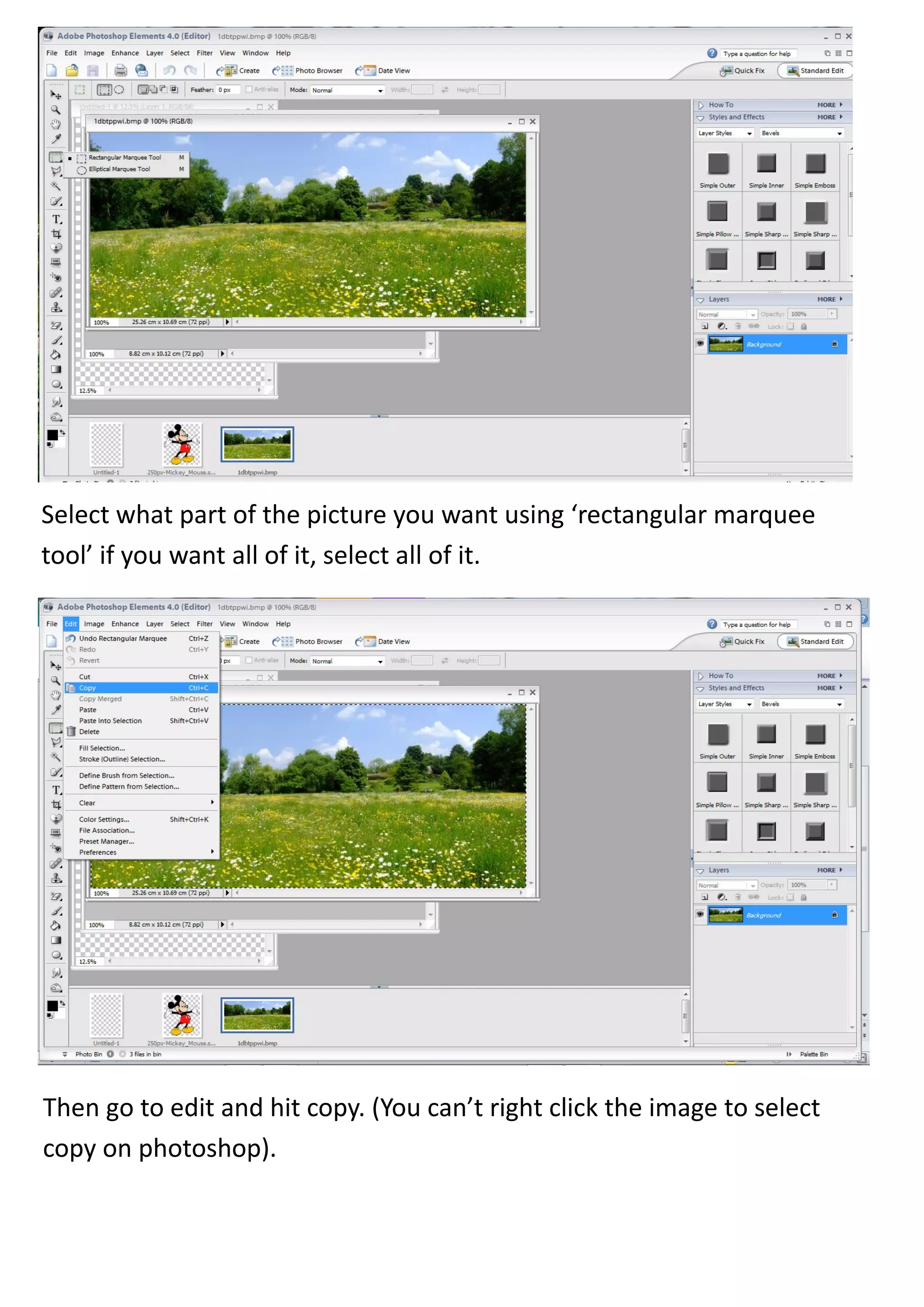 Select what part of the picture you want using ‘rectangular marquee
tool’ if you want all of it, select all of it.




Then go to edit and hit copy. (You can’t right click the image to select
copy on photoshop).
 