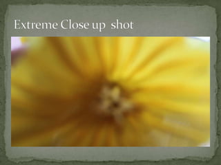 Photo shot types | PPT