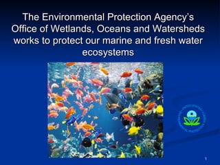The Environmental Protection Agency’s Office of Wetlands, Oceans and Watersheds works to protect our marine and fresh water ecosystems 