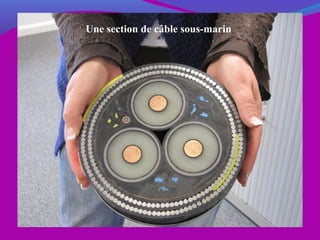Une section de câble sous-marin
 