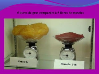 5 livres de gras comparées à 5 livres de muscles
 