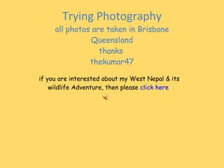 Trying Photography all photos are taken in Brisbane Queensland thanks  thekumar47 if you are interested about my West Nepal & its wildlife Adventure, then please  click here 