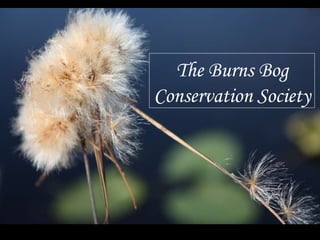 The Burns Bog Conservation Society 