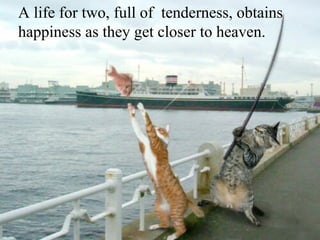 A life for two, full of tenderness, obtains
happiness as they get closer to heaven.

Les meilleures photos de
     L'année 2005
        D'après
          NBC
 