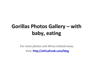 Gorillas Photos Gallery – with
         baby, eating

   For more photos and Africa-related news,
       Visit: http://africafreak.com/blog
 