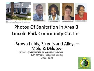 Photos Of Sanitation In Area 3 Lincoln Park Community Ctr. Inc. Brown fields, Streets and Alleys – Mold & Mildew- CULTURES -  (EMPLOYMENT & PRISONER REINTEGRATION)  Ruth Varnado – Executive Director 2009 - 2010 Lincoln  Park  Community   Center, Inc . 