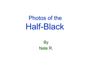 Photos of the  Half-Black  By Nate R. 