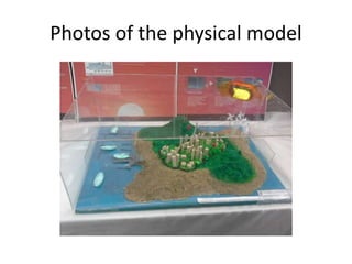 Photos of the physical model
 