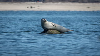 Photos select Mai 2017