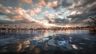 Photos select Mai 2017