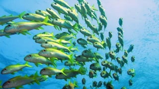 Photos select Mai 2017