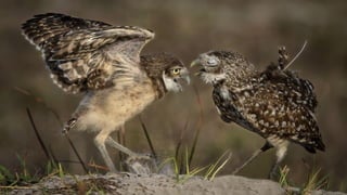 Photos select Mai 2017