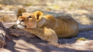 Photos select Mai 2017