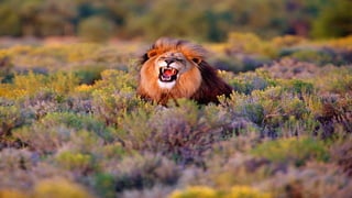 Photos select Mai 2017