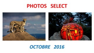 PHOTOS SELECT
OCTOBRE 2016
 