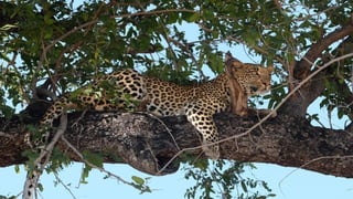 Photos select Octobre