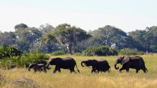 Photos select Octobre