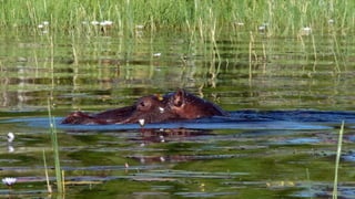 Photos select Octobre