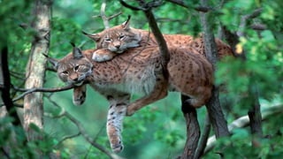 Photos select Octobre