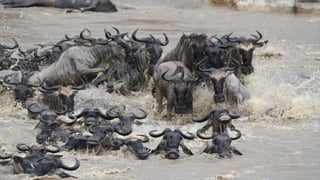 Photos select Octobre