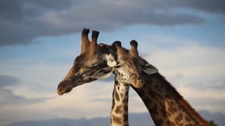 Photos select Octobre