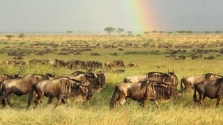 Photos select Octobre